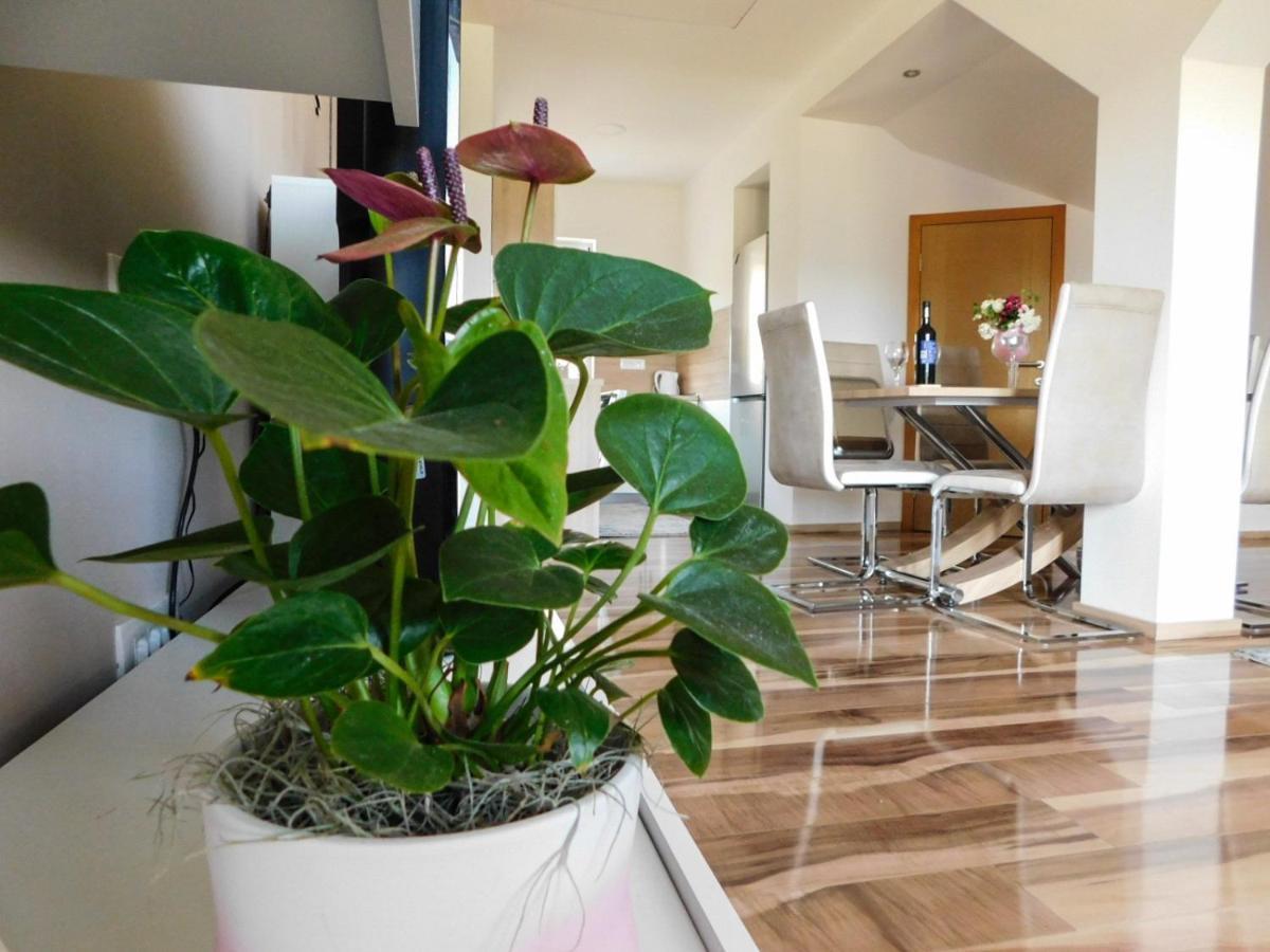 אוטוצאץ Apartman Lara מראה חיצוני תמונה